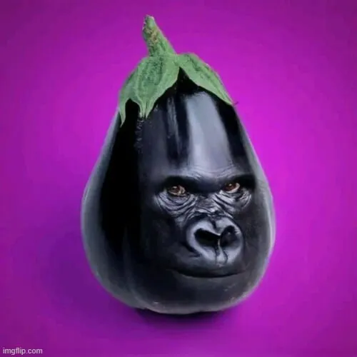 Ảnh vui ánh mắt thách thức đầy sắc sảo