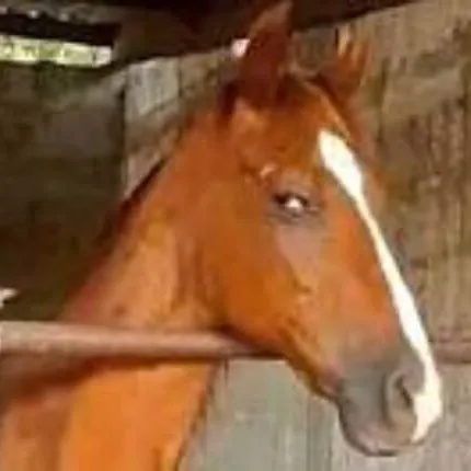 Ảnh hài liếc nhẹ nhưng chạm đúng tâm trạng