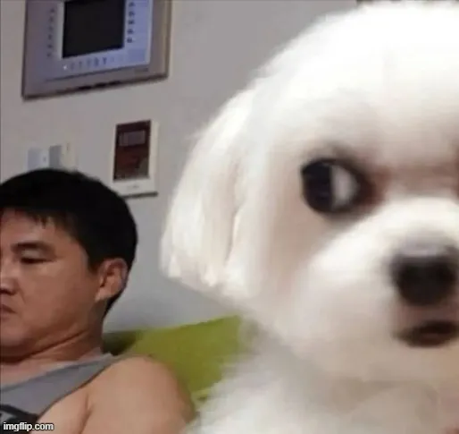 Meme hài biểu cảm lườm nhẹ kiểu sang chảnh