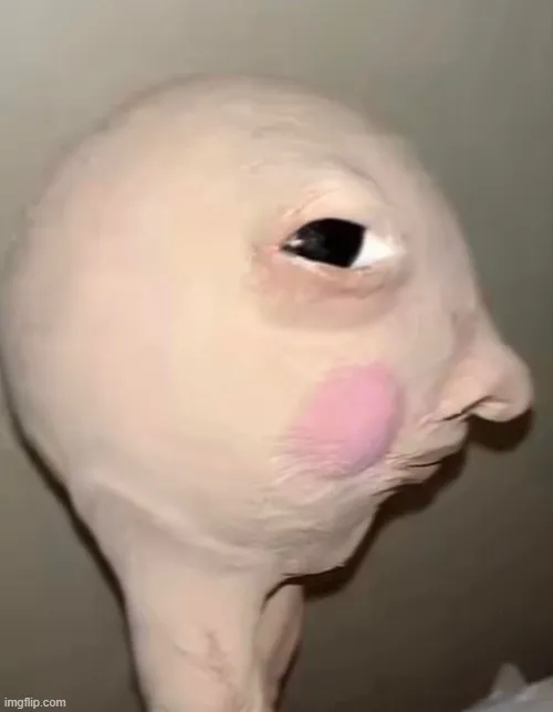 Hình troll thần thái “nữ hoàng” liếc ngang quyền lực