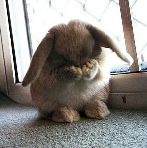 Những khoảnh khắc đỏ mặt mắc cỡ được chế ảnh hài hước lan truyền TikTok