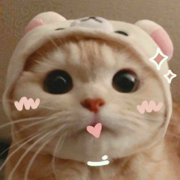 Khi ánh nhìn long lanh trở thành biểu tượng của sự hối lỗi hài hước