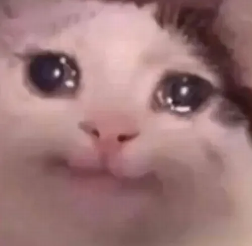 Meme chế ánh mắt cầu xin siêu dễ thương khiến tim tan chảy