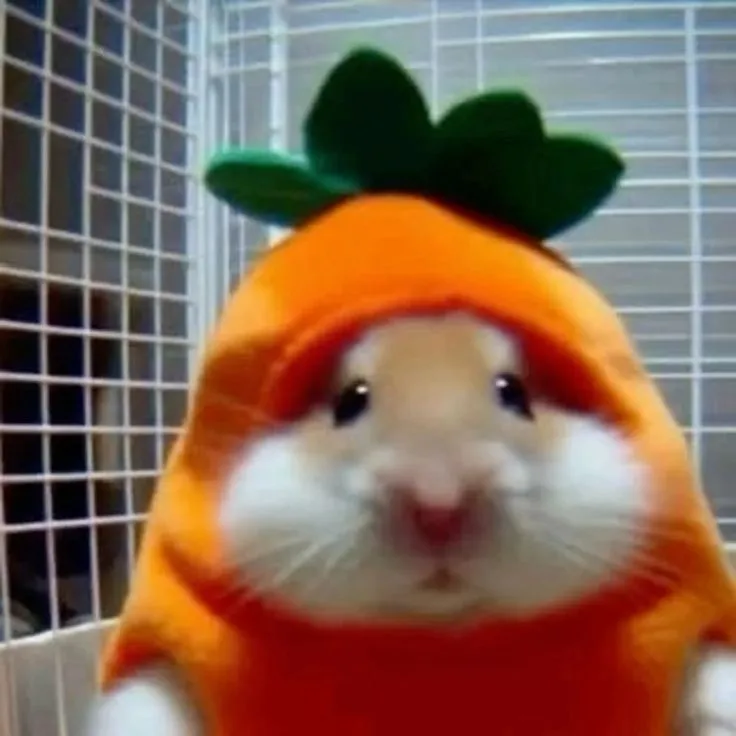 Khi lời nói không đủ, hãy để đôi mắt long lanh chuột giúp bạn