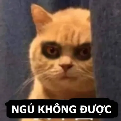 Meme chế khuôn mặt sụp mí cực dễ thương