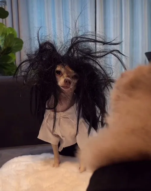 Khoảnh khắc mất ngủ vì deadline dí sát