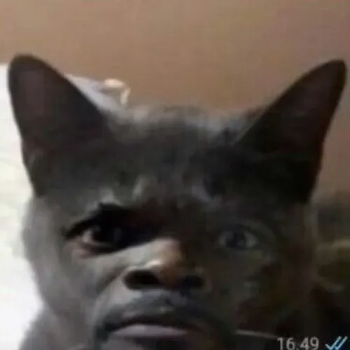 Hình meme hài thiểu năng được đăng lại liên tục trên Reddit Việt