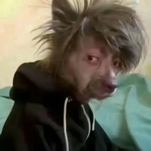 Meme chế dở hơi khiến nhóm chat Messenger sôi nổi suốt cả buổi tối