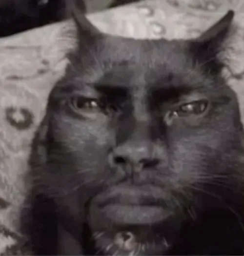 Meme hài lú lẫn được chia sẻ rần rần trên Discord cộng đồng GenZ