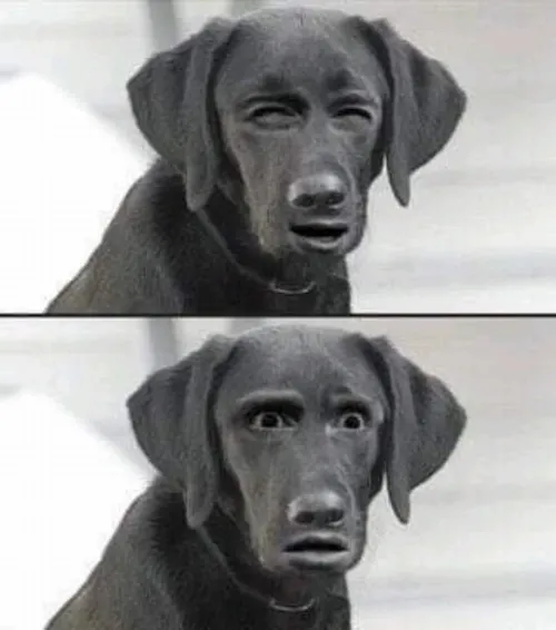 Ảnh troll thiểu năng phản ứng mạnh trong bình luận video YouTube