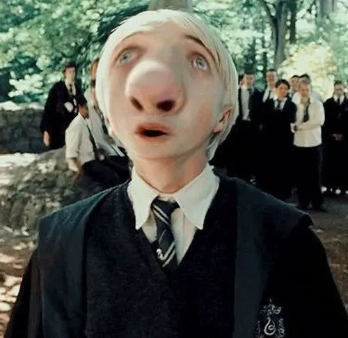 Hình meme hài mô tả cảm xúc vô tri nhưng dễ thương đến lạ