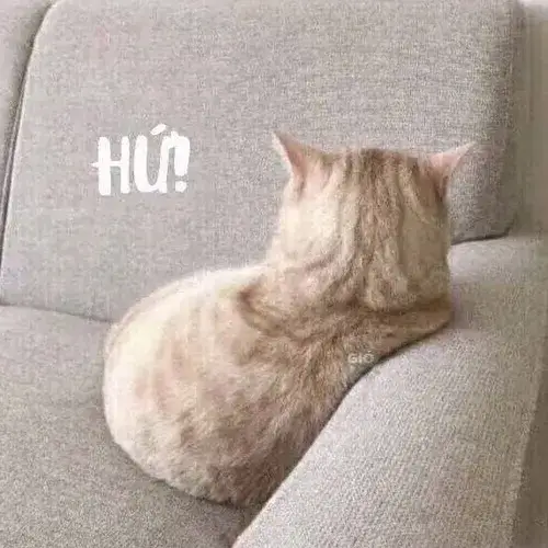 Hình chế mèo nhây mang vibe “bẩn bựa” khó đỡ