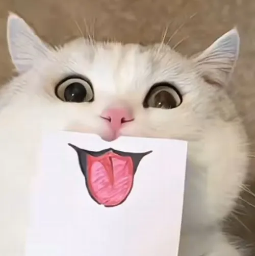 Meme chế mèo lè lưỡi với ánh mắt ham hố