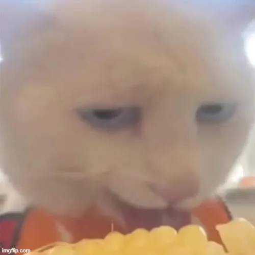 Meme mèo lè lưỡi thể hiện cơn thèm ăn hài hước khó cưỡng