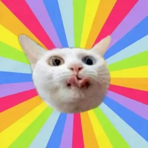 Ảnh chế mèo lè lưỡi mà mắt long lanh quá trời