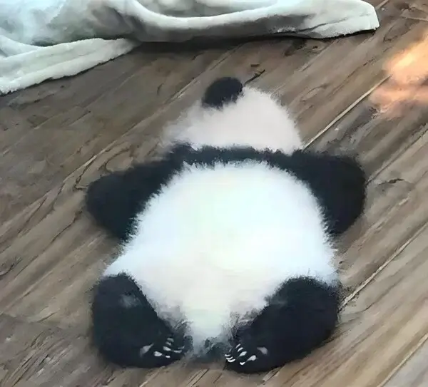 Ảnh hài biểu cảm xuống tinh thần học trò stress cao