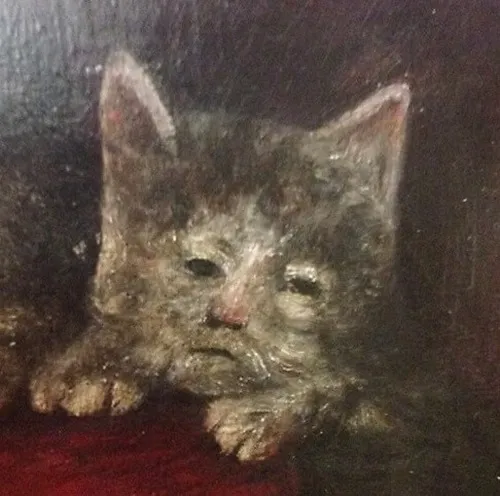 Meme hài phản ứng khi deadline dí tới tận cổ