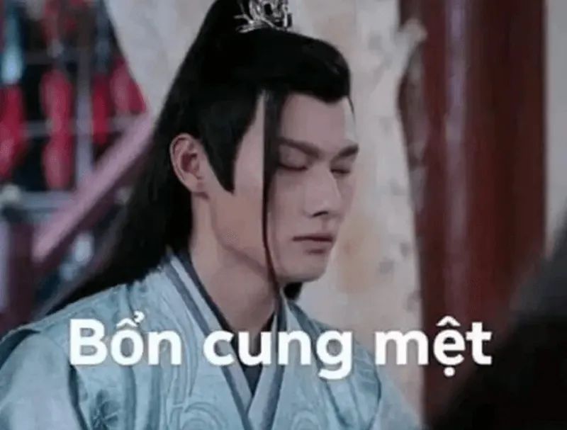 Ảnh chế ánh mắt lờ đờ cực chuẩn vibe dân văn