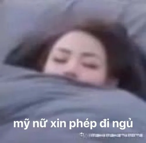 Meme mệt mỏi nhìn vừa thương vừa buồn cười