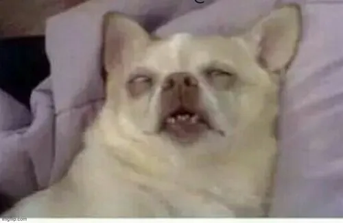 Meme mệt mỏi siêu chân thật