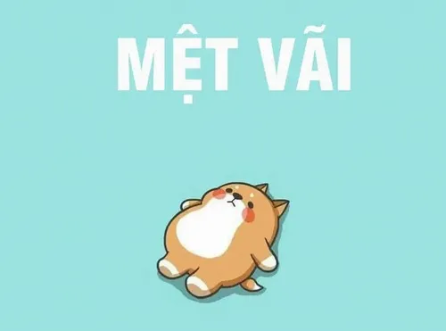 Hết pin từ sáng sớm: Bộ sưu tập meme mệt mỏi cho gen Z