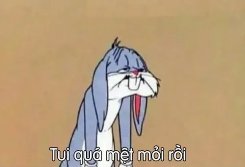 Khoảnh khắc uể oải ngáp liên tục cực bá đạo