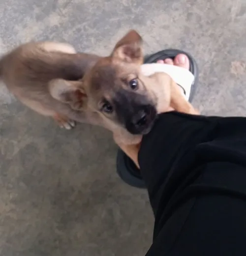 23 Meme năn nỉ ánh mắt nhìn lên, biểu cảm chan chứa hy vọng.