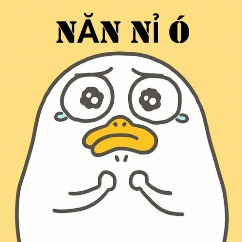 24 Ảnh chế khuôn mặt nhỏ bé giữa khung chat đầy dòng xin lỗi.