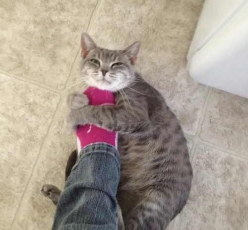 20 Ảnh vui khuôn mặt cúi xuống, má ửng hồng, môi mím thật khẽ.