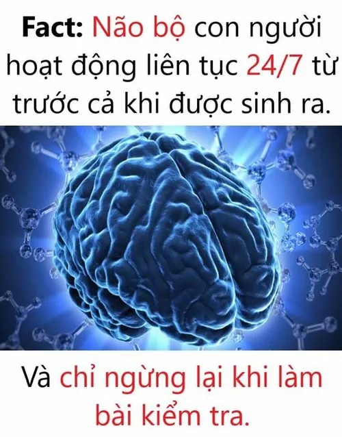 Meme hài cư dân mạng dùng khi thấy bình luận vô lý.