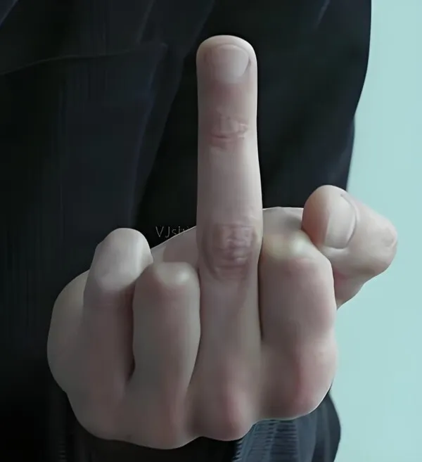 Ảnh vui ngón giữa biến từ cử chỉ nổi loạn thành hài hước.