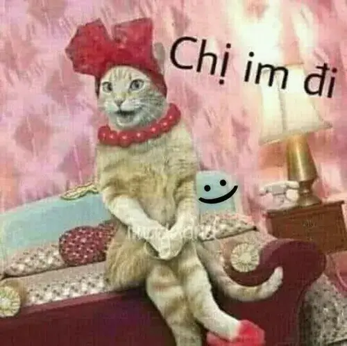 Bộ meme nín gắt gao nhưng cực kỳ hài hước