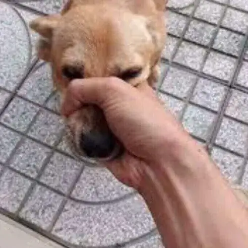 Khi im lặng không yếu, mà là cách hạ gục tinh tế