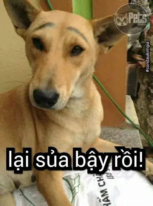 Khi chỉ một ánh nhìn khiến đối phương nín luôn