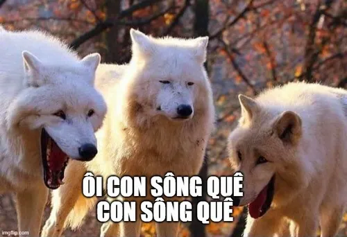 Ảnh troll ơi con sông quê gắn caption đỏ mặt