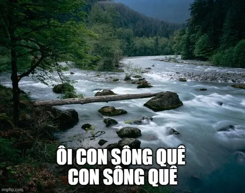 “Ơi con sông quê” – meme hot nhất để chọc người bị quê nhẹ