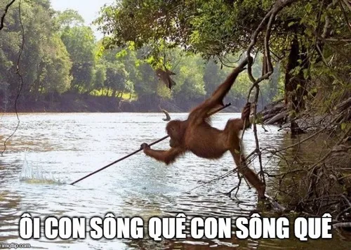 Khi tiếng than “ôi con sông quê” trở thành biểu tượng của sự ngượng ngùng vui nhộn