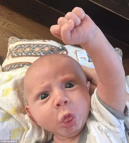 Ảnh vui quyết tâm kết hợp ánh mắt tập trung và caption hài hước