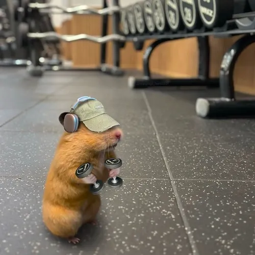 Meme dốc sức kể chuyện người trẻ đang chiến đấu với deadline