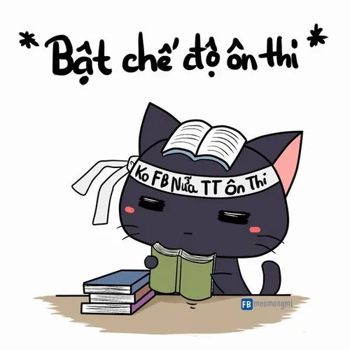 Ảnh vui vượt giới hạn kể câu chuyện nhỏ về ý chí và niềm tin