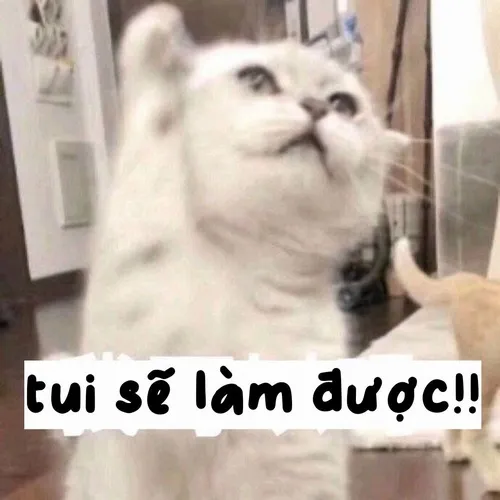 Hình meme kiên trì diễn tả hành trình vượt qua thử thách gian nan