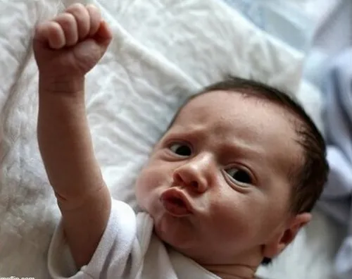 Bộ sưu tập meme quyết tâm dành cho những ngày cần tự đốt lửa trong tim