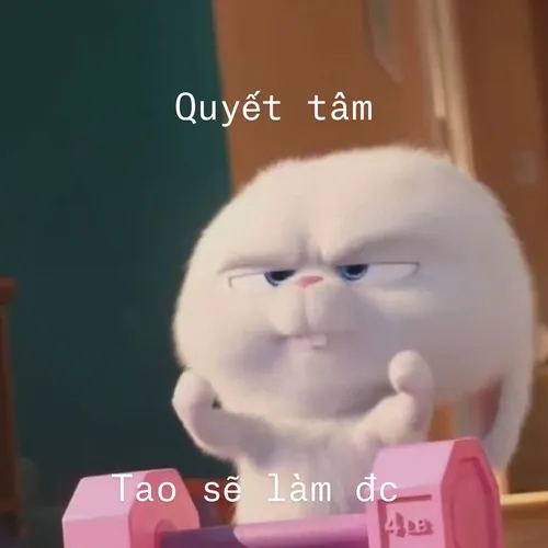 Meme quyết tâm: khi hài hước trở thành công cụ truyền động lực