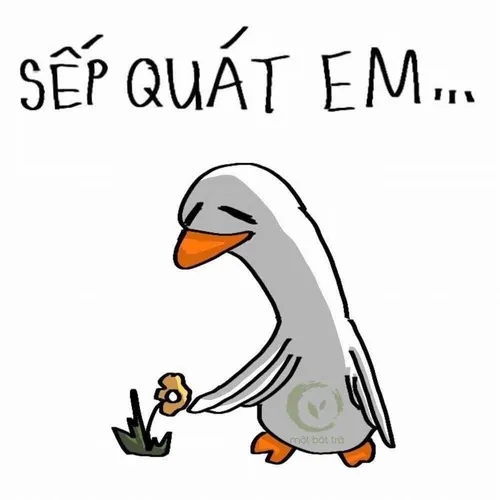 19 Ảnh troll sếp quyền lực đang chỉ tay trên bảng kế hoạch