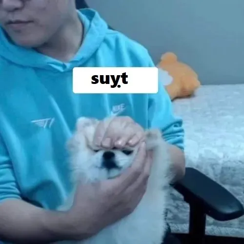 Ảnh troll suỵt nhẹ kiểu anime cực tinh tế.