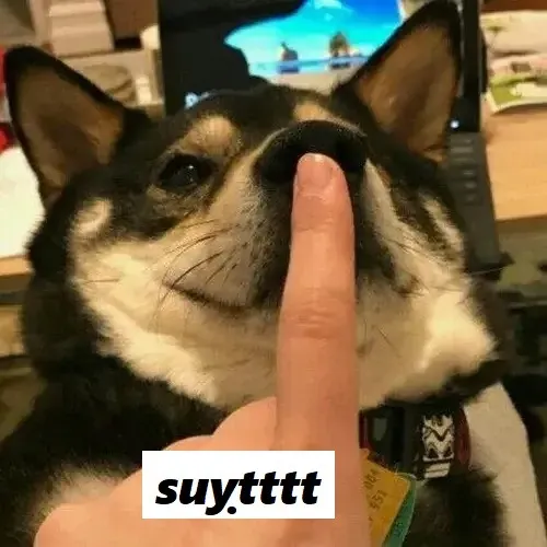 Từ cử chỉ nhỏ đến trào lưu lớn: hành trình của meme suỵt