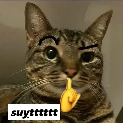 “Meme mèo Suỵt!” Khi im lặng lên tiếng