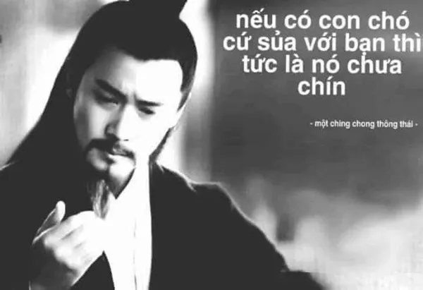 Ảnh vui cái liếc nhanh đầy ẩn ý giữa hai phe đối thoại.