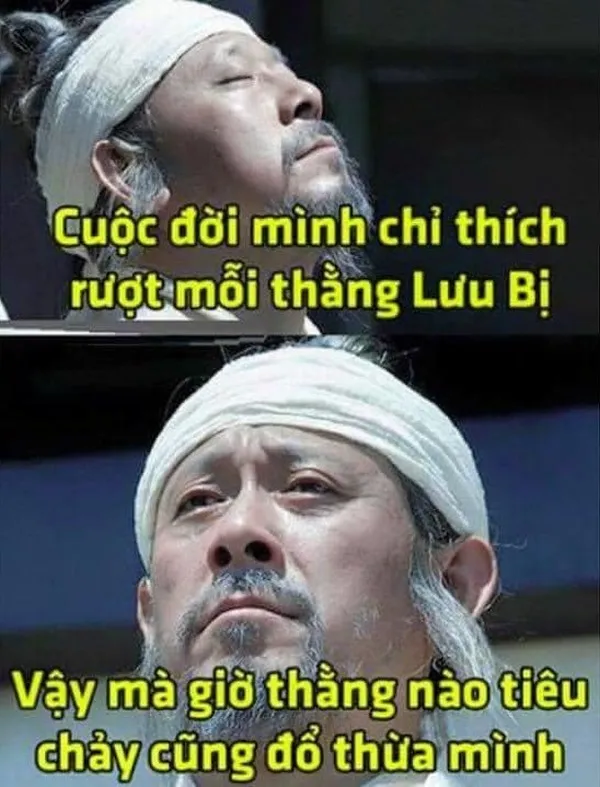 Ảnh vui phong thái “biết hết nhưng không thèm nói”.