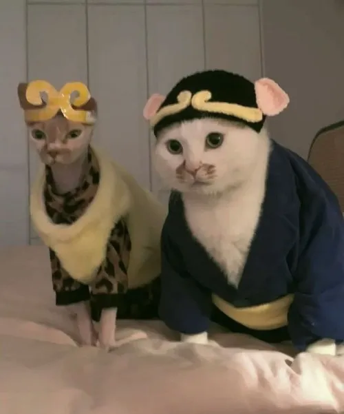 Meme chế yêu quái giả dạng người yêu cũ.